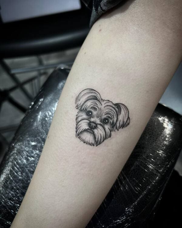 62 Beautiful Remembrance Tattoos for Dogs: A Heartfelt Tribute 33 Detailed Yorkshire Terrier face memorial portrait tattoo in black and grey
