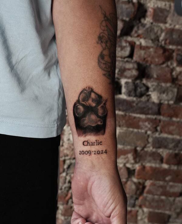 62 Beautiful Remembrance Tattoos for Dogs: A Heartfelt Tribute 41 Dog paw print memorial tattoo with name Charlie and dates 2009-2024 on forearm
