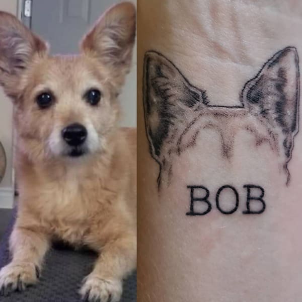 62 Beautiful Remembrance Tattoos for Dogs: A Heartfelt Tribute 6 Realistic dog portrait tattoo with handwritten name and dates beneath