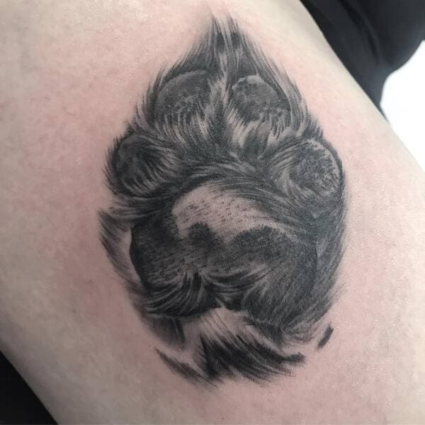 62 Beautiful Remembrance Tattoos for Dogs: A Heartfelt Tribute 38 Hyper-realistic black and grey dog nose close-up memorial portrait tattoo